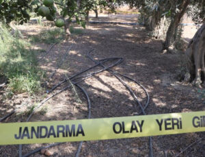 Hatay Defne’de Borç Cinayeti Zanlısı 150 Bin Lira İle Kaçarken Özel Eğitimli Köpekle Yakalandı