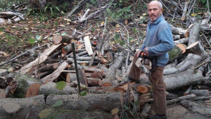 Rize Ardeşen’de Ağaç Kesimi Faciası Bir Kişi Yaşamını Yitirdi