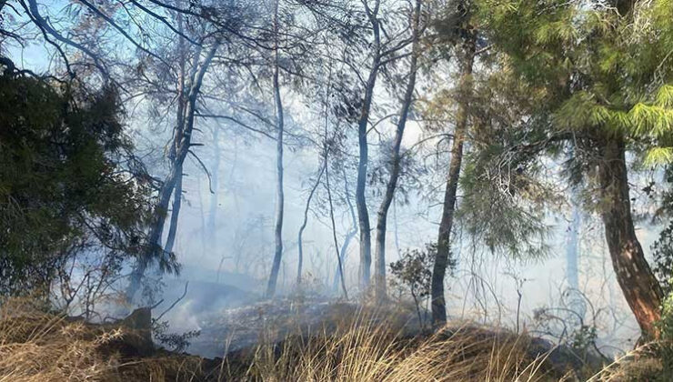 Manavgat Yeniköy’deki Yangın 10 Hektarlık Alanı Kül Etti Ekiplerin Yoğun Çabasıyla Kontrol Altına Alındı