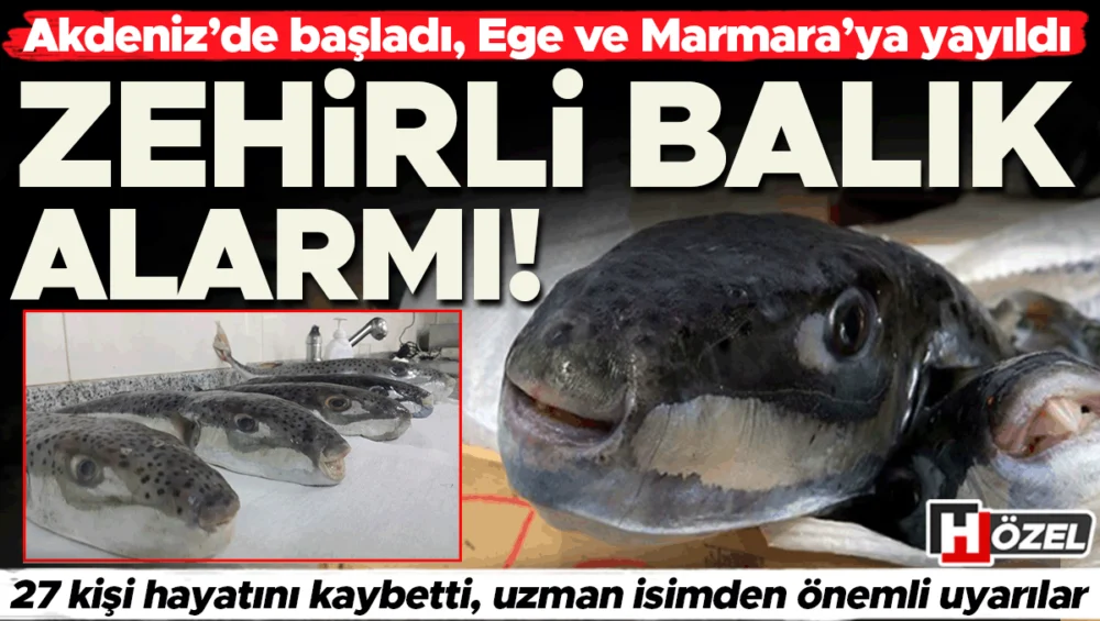 Akdeniz’den Ege Ve Marmara’ya Zehirli Balık Yayılımı 27 Can Aldı