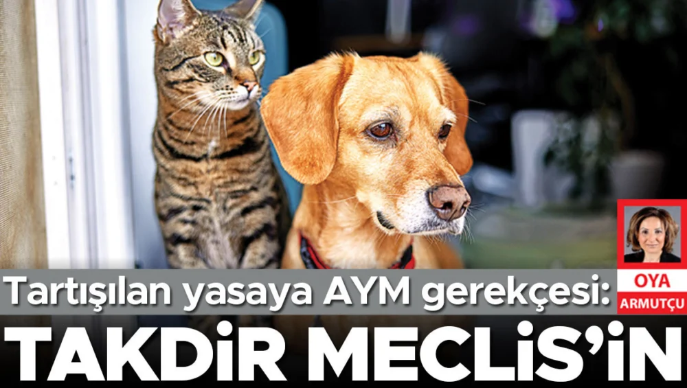 Anayasa Mahkemesi Sokak Hayvanları Ötanazisinde Takdir Yetkisinin Meclis’te Olduğunu Belirtti