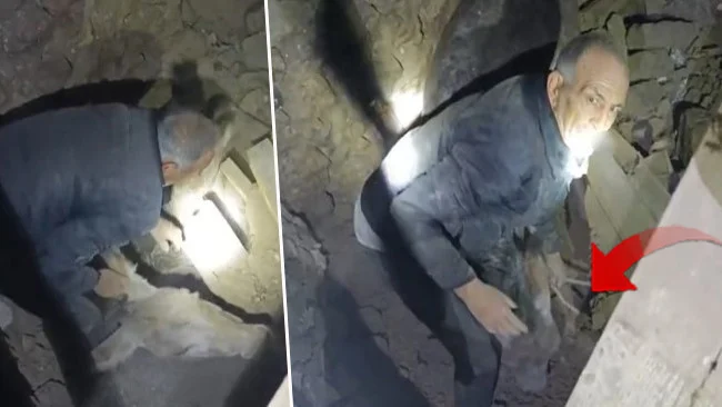 Balıkesir Depreminde Çöken Ahırdan Eşek Mahalle Sakinleri Tarafından Kurtarıldı
