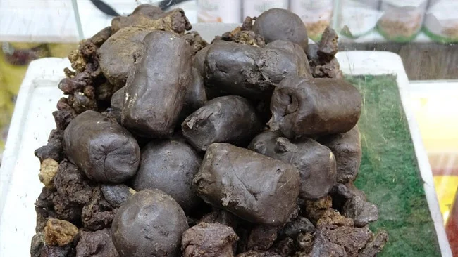 Pervari’den Alper Gezeravcı’ya Uzay Yolculuğu İçin Propolis Teklifi