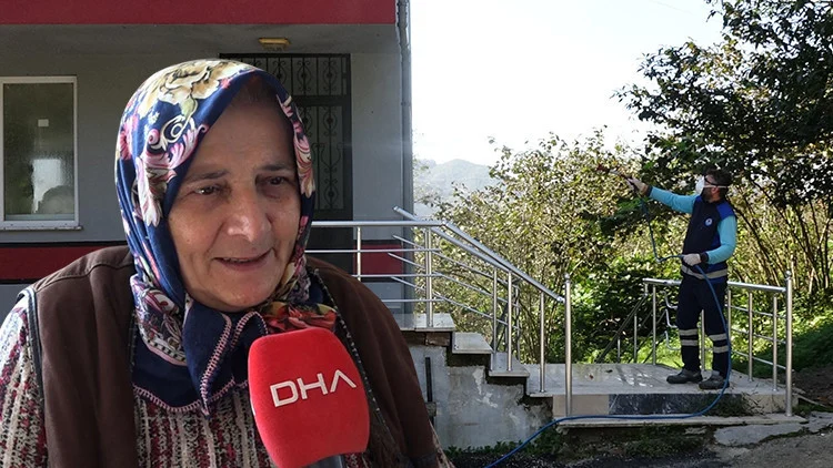 Karadeniz’de Kahverengi Kokarca İstilası Evlere Yayıldı Uzmanlardan Önemli Uyarılar