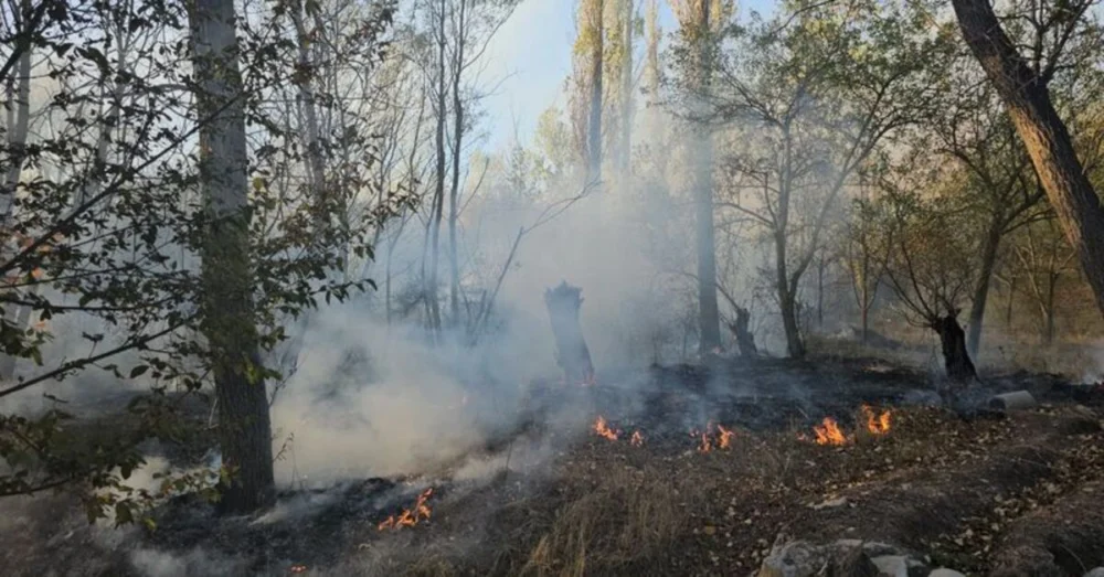 Çorumda Anız Yangını 620 Dönüm Alanı Kül Etti