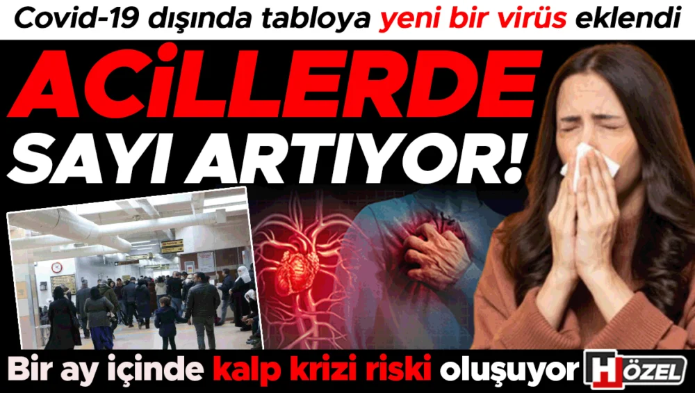 Covid-19 Ve Grip Enfeksiyonları Sonrası Kalp Krizi Riski Belirgin Bir Şekilde Yükseldi