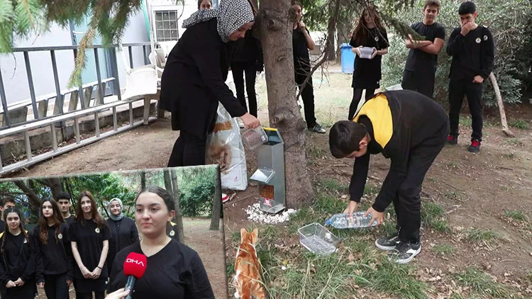 Demirören Mtal Öğrencileri 04 Ekim’De Sokak Hayvanları İçin Kapsamlı Bir Destek Kampanyası Yürüttü