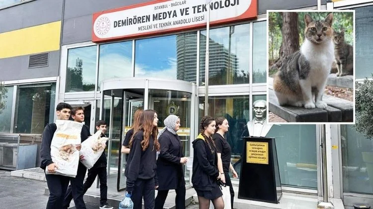 Demirören Mtal Öğrencileri Kendi Harçlıklarıyla Sokak Hayvanlarını Besledi