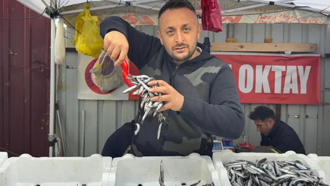 Zonguldak Balık Hali’nde Hamsi Bolluğu Sona Erdi Fiyatlar 150 Liraya Fırladı