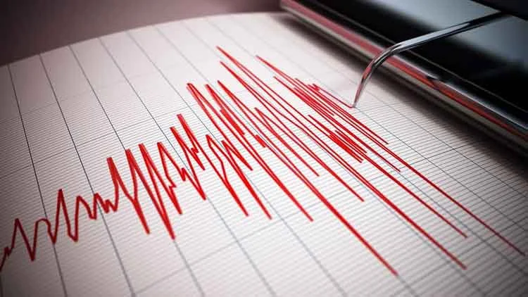 Ege Denizi’nde 4.0 Büyüklüğünde Deprem Ayvacık Açıklarını Sarstı