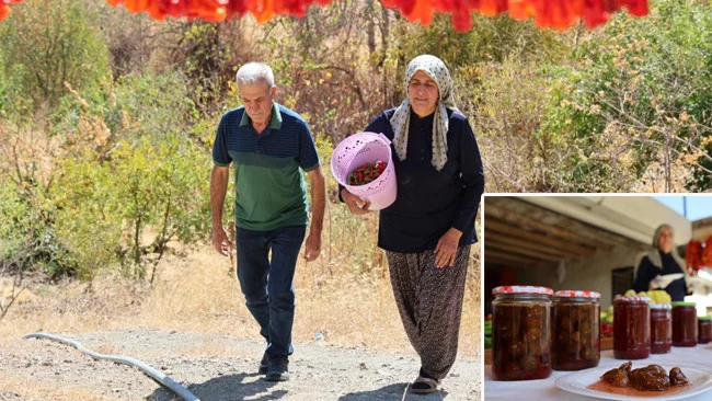 Emeklilik Diyarbakır Çermik’te Zeynep Güven’e Yeni Bir Üretim Kapısı Açtı