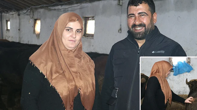 Ağrı’da Polat Ailesi Devlet Destekli Hayvancılıkla 60 Büyükbaş Hayvan Sayısına Ulaşarak Yöreye Örnek Oldu