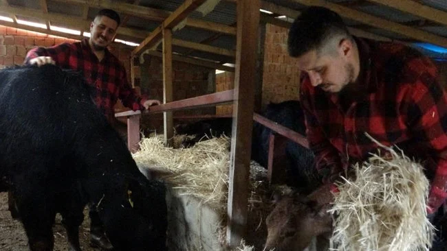 Almanya’dan Köyüne Dönen Gedik Ailesi Hayvancılıkla Sıfırdan Yeni Bir Hayat Kurdu