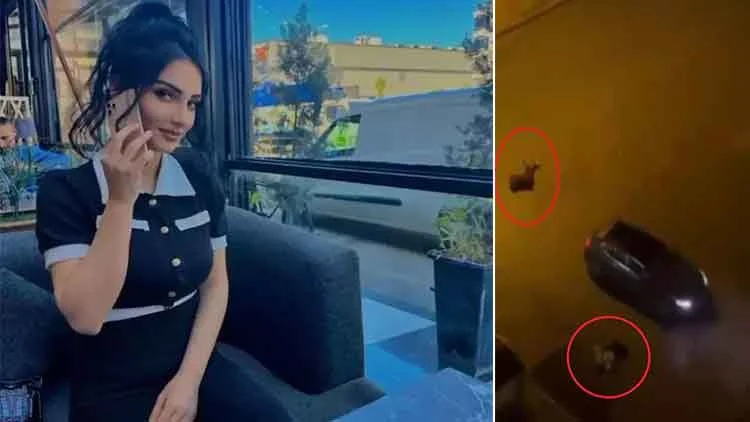 Batman Çifte Cinayet Davasında Sanık Ramazan Baykara’ya Ağırlaştırılmış Müebbet Ve 15 Yıl Hapis Cezası