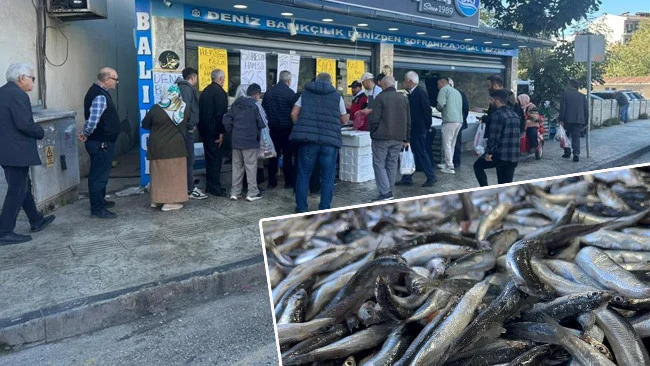 Fatsa’da Hamsi Fiyatları 25 Liraya Düşünce Tezgahlar Vatandaş Akınına Uğradı
