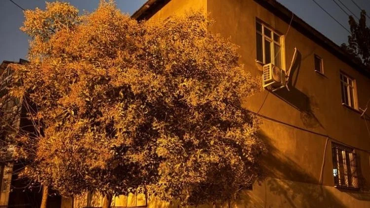 Gebze’de Kolon Çatlakları Nedeniyle İki Katlı Bina Güvenlik Amacıyla Tahliye Edildi