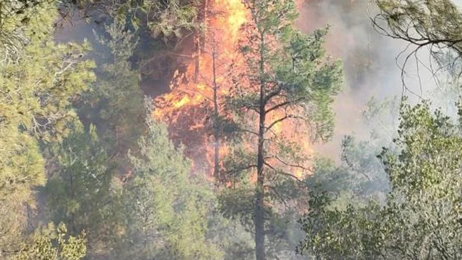 Hatay Belen’de Orman Yangını Çıktı Ekiplerin Mücadelesi Sürüyor