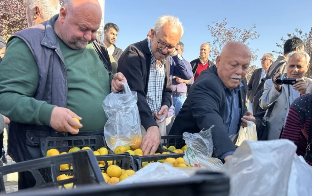 Hataylı Üreticiler Alıcı Bulamayan Tonlarca Mandalina Ücretsiz Dağıttı