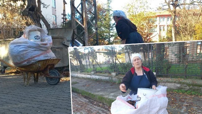 Edirne’de 70 Yaşındaki Kadın Düşen Yaprakları Doğal Gübreye Çeviriyor