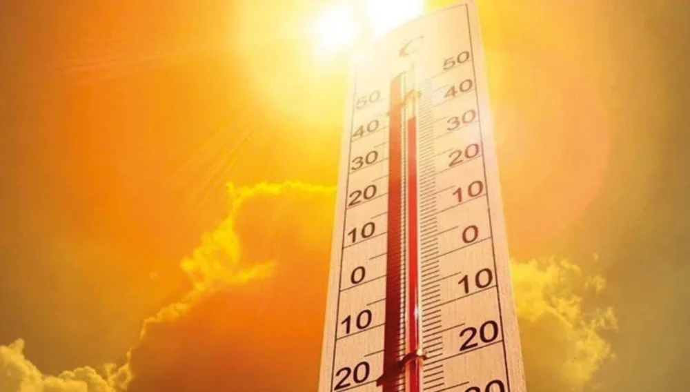 Küresel Isınmanın 2.5 Dereceye Varması Dünya Genelinde Salgın Hastalıkları Tetikliyor