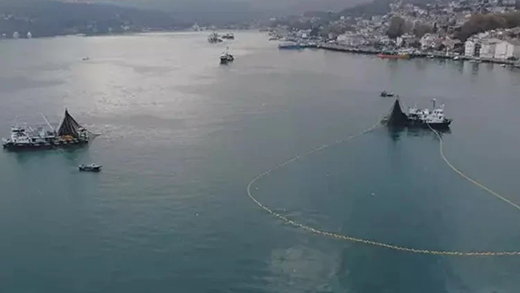 İstanbul Boğazı’nda Balık Soykırımı İddiası Dmm Tarafından Yalanlandı