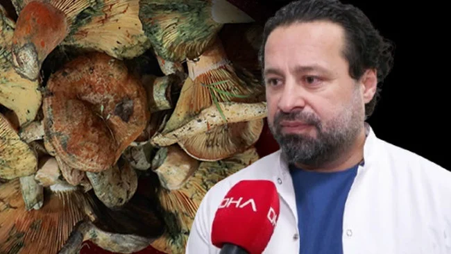 İstanbul’da Son Bir Ayda 60 Kişi Mantar Zehirlenmesi Nedeniyle Hastaneye Başvurdu Uzmanlar Uyarıyor