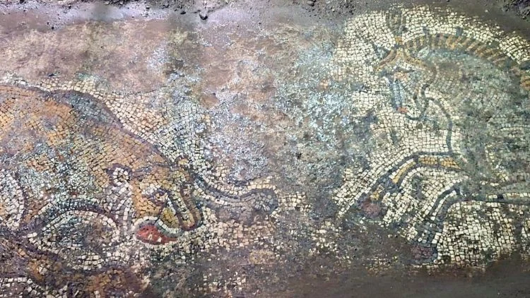 Mardin’de Kaçakçılara Yönelik Operasyonda 1500 Yıllık Mozaik Gün Yüzüne Çıkarıldı