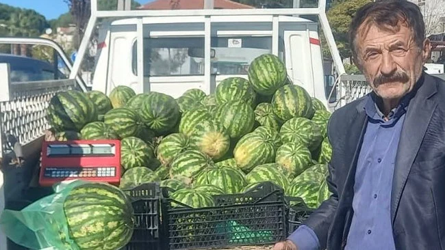 Muğla’da Sıcak Hava Kasım Ortasında Karpuz Tezgahlarını Şenlendirdi