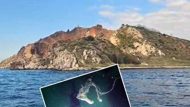 Marmara’da Deniz Salyası 20 Metre Derinliğe İnerek Mercanları Tehdit Ediyor