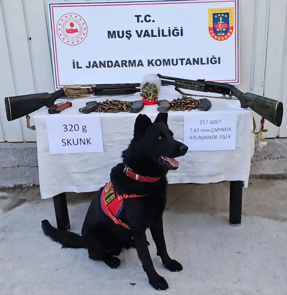 Muş Varto’da Jandarma Operasyonunda Uyuşturucu Ve Mühimmat Ele Geçirildi