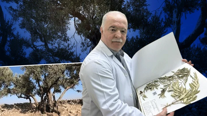 Bilimsel Veriler Nuh’un Gemisi’nin Ağrı’da Değil Cudi Dağı’nda Olduğunu Gösteriyor