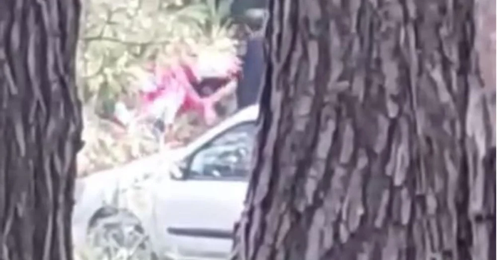 İzmir’de Ormanlık Alanda Kadın Şiddeti Kamerada Şüpheli Yakalandı Taraflar Şikayetçi Olmadı