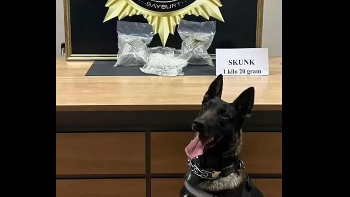 Bayburt’ta Otobüs Aramasında 1 Kilo 20 Gram Skunk Ele Geçirildi Şüpheli Tutuklandı