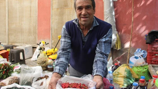 Aydın’da Kızılcık Hasadı Başladı Kilogramı 150 Lira’dan Alıcı Buldu