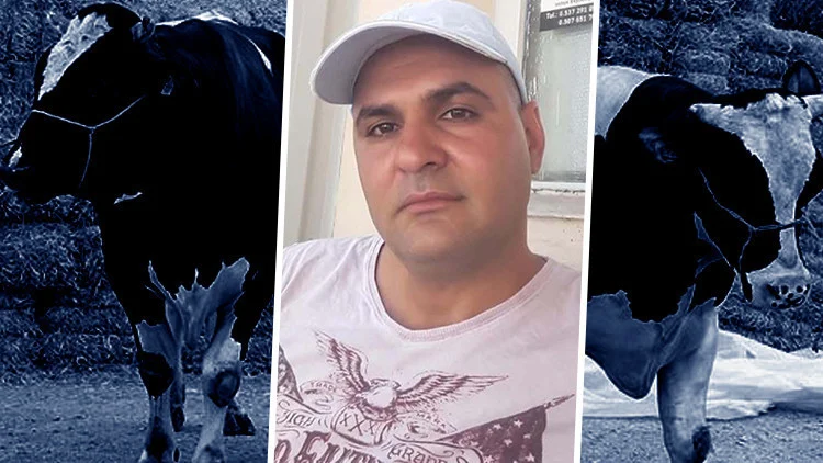 Menderes’te Dananın Saldırısına Uğrayan Besici Yaşamını Yitirdi