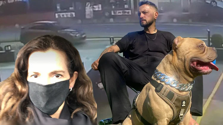 Şişli’deki Kazada İki Kişi Can Verdi Kayıp Köpek Pablo Aranıyor