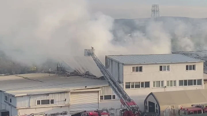 İstanbul Tuzla’da Kauçuk Ve Karton Fabrikasında Çıkan Yangın Ekipleri Alarma Geçirdi