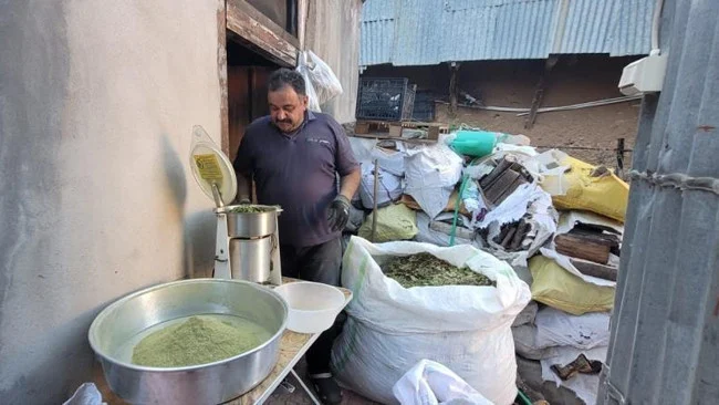 Geleneksel Kemaliye Zetrin’i Üniversite Araştırmasıyla Bağışıklık Güçlendirici Olarak Kanıtlandı