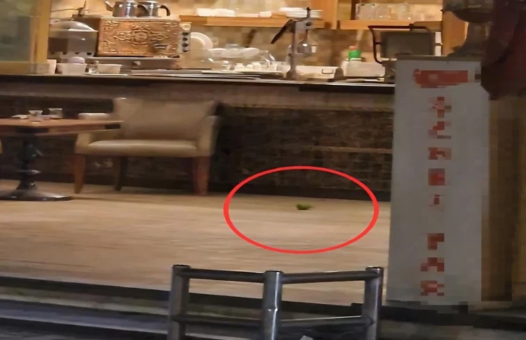 Adana’da Pastaneye El Bombası Atan 16 Yaşındaki Saldırgan Yakalandı