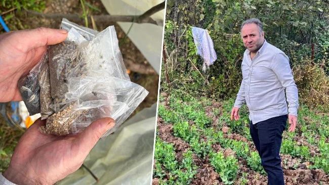 Trabzonlu Fatih Çolak 150 Binden Fazla Ata Tohumunu Ülkenin Her Yerine Dağıttı