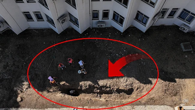 Mersin Üniversitesinde Dört Yıl Önce Gömülen Fin Balinası İskeleti Bilim Dünyasına Kazandırıldı