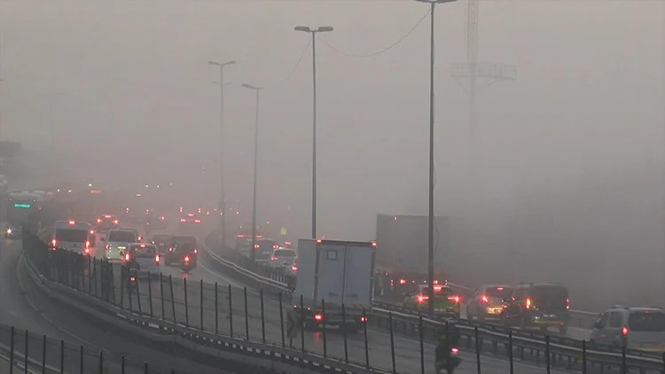 İstanbul’u Saran Yoğun Sis Deniz Ve Karada Yaşamı Olumsuz Etkiledi