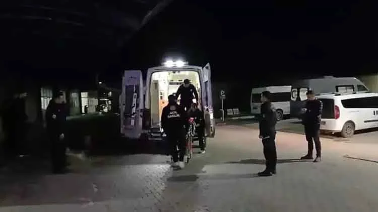 Gemlik’teki Zeytinlikte Bıçaklı Saldırı Şüphelisi Yakalandı